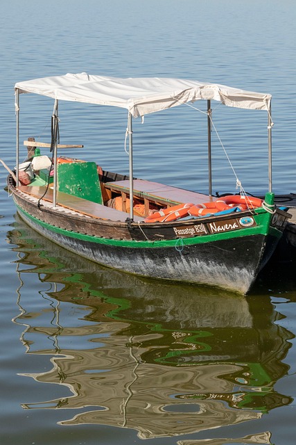 equipo docente en valencia preparando materiales de curso sobre plataformas digitales